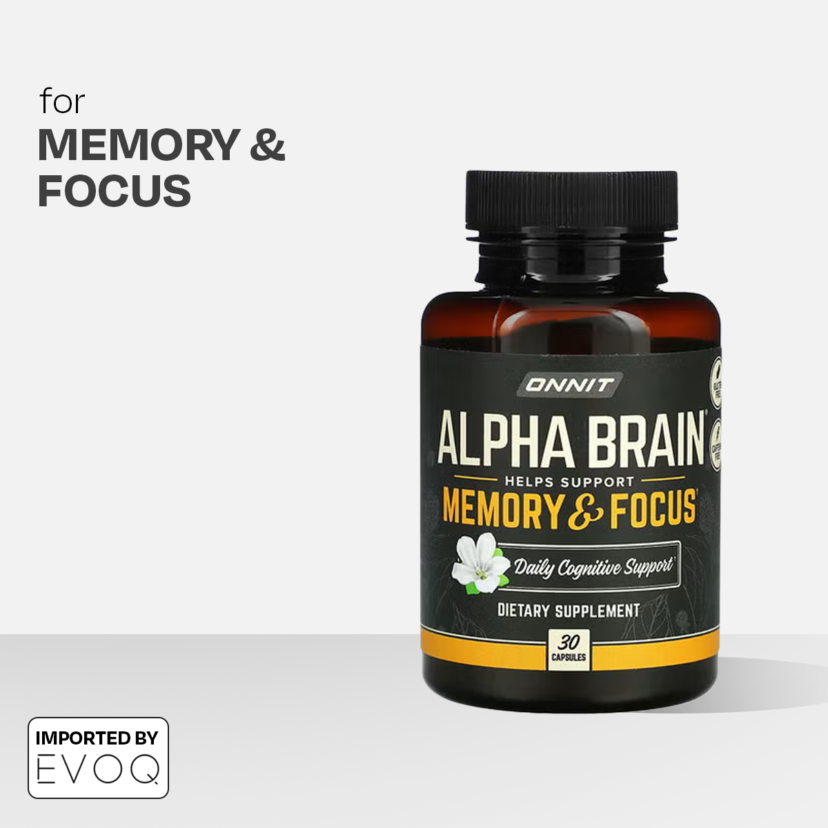Alpha BRAIN