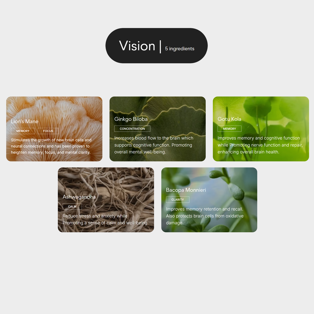Thera Vision - For Focus & Mental Clarity