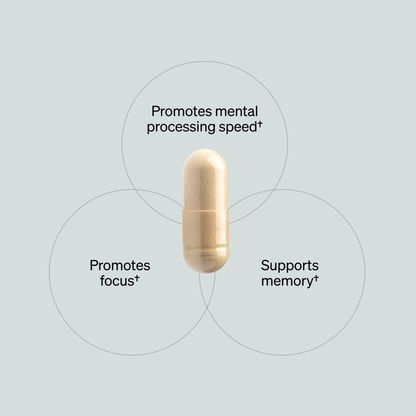 Alpha Brain - for Memory & Focus